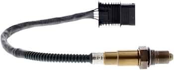 41cCJ2+c1cL._AC_UF350,